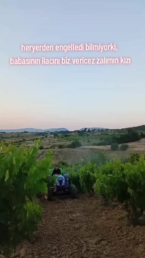 @&Ouml;zkan Heybetoğlu