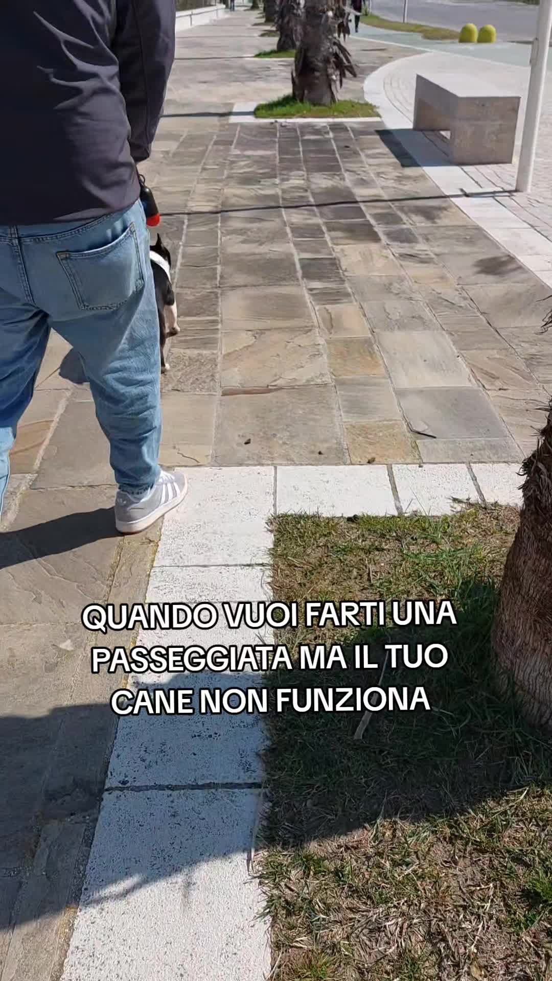 @⭐️ Rosangela ⭐️