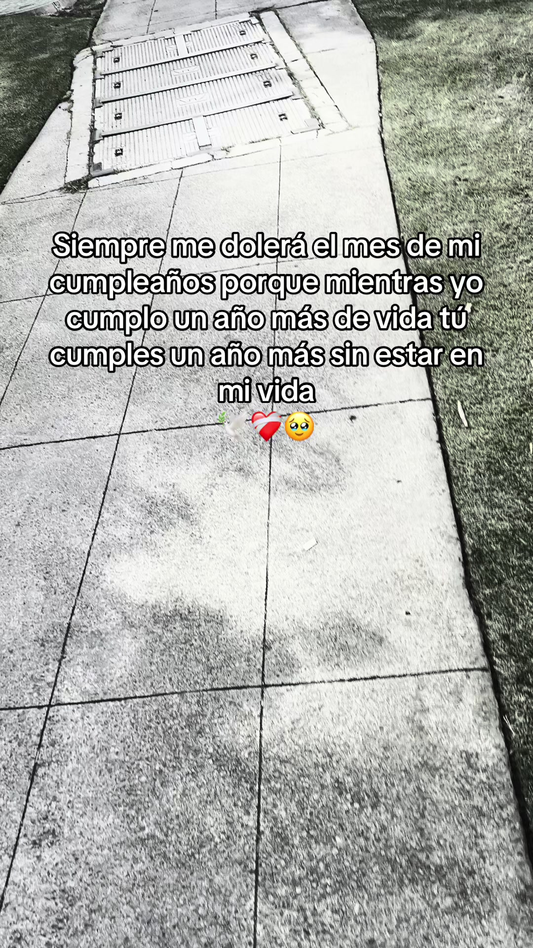 @Ahime Flores