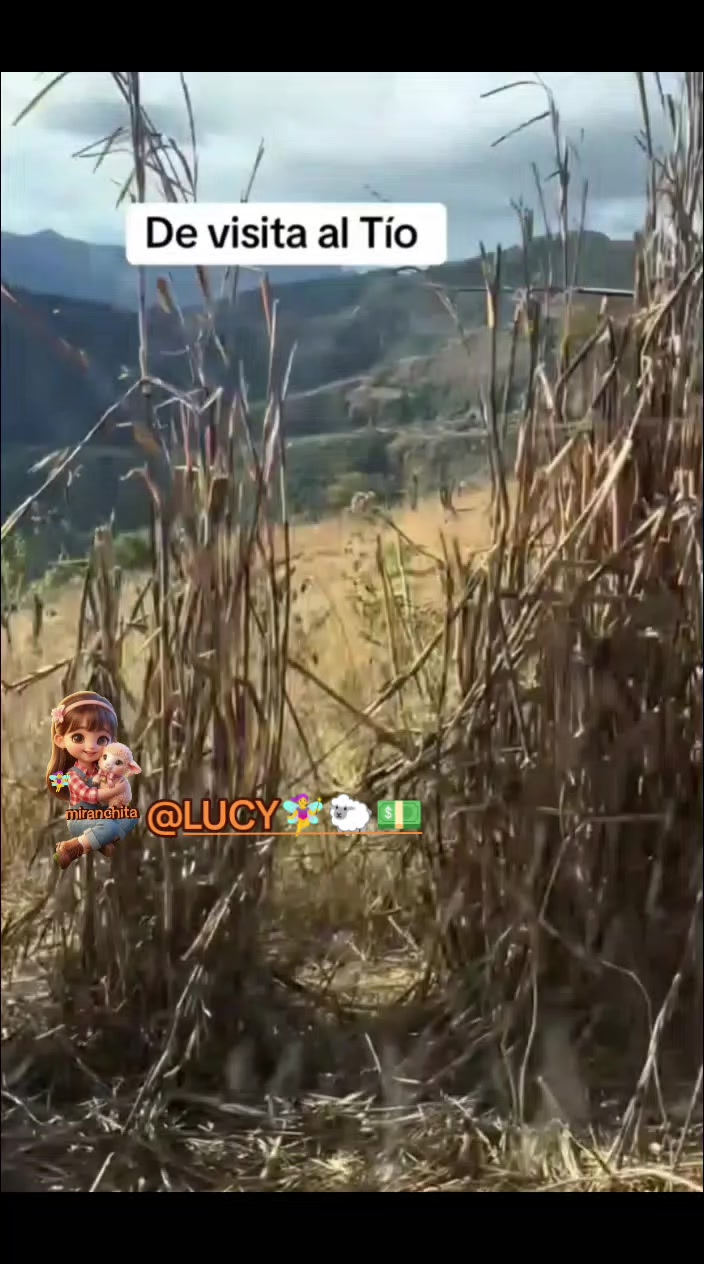 @miranchita🧑&zwj;🌾