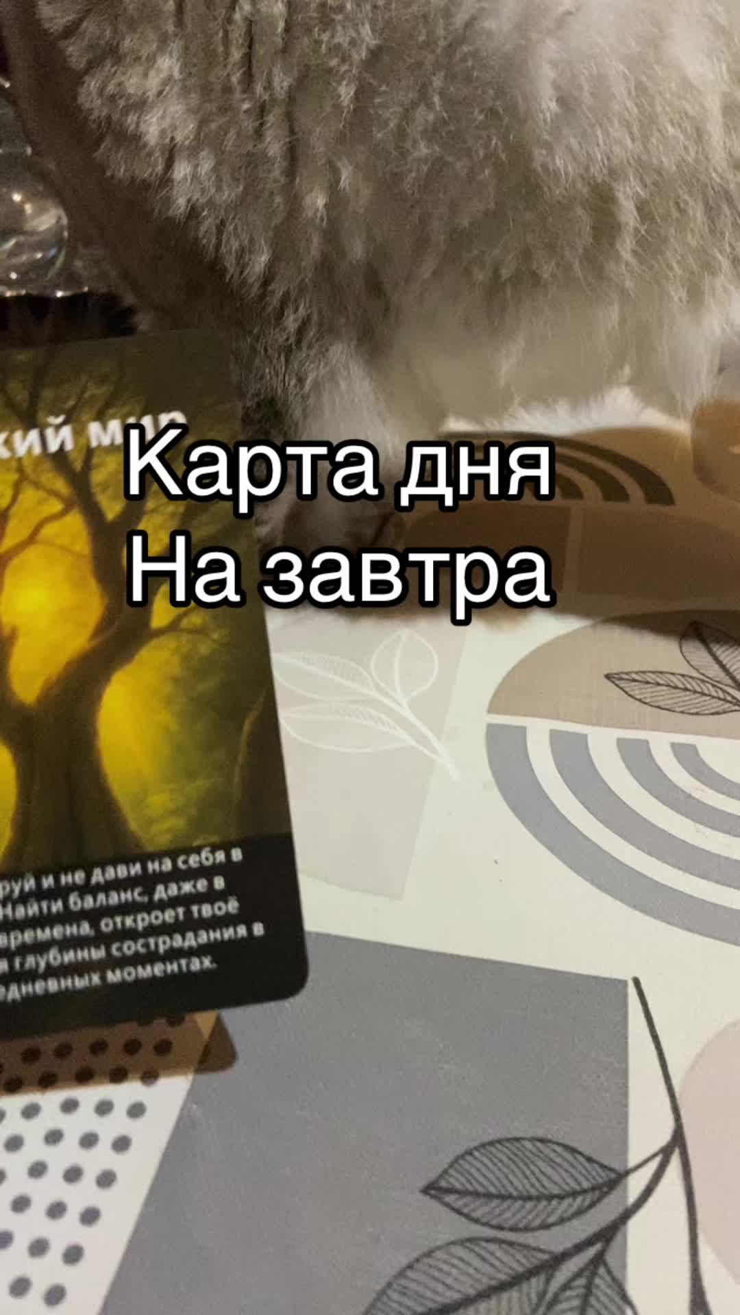 @ВИКУСЯ ЯСНОВИДЯЩАЯ