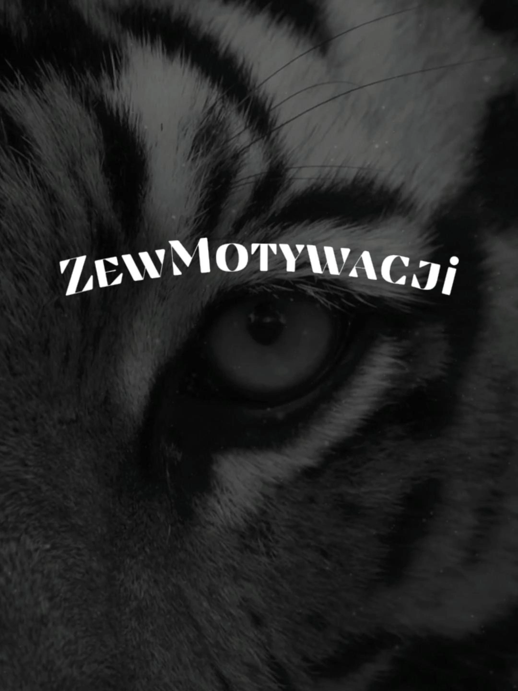 @ZewMotywacji