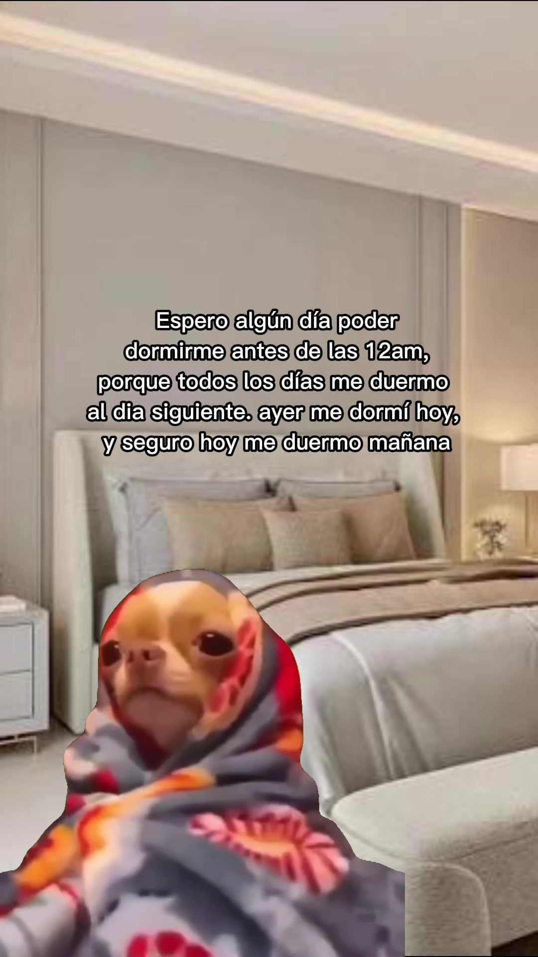 @Mely Torres