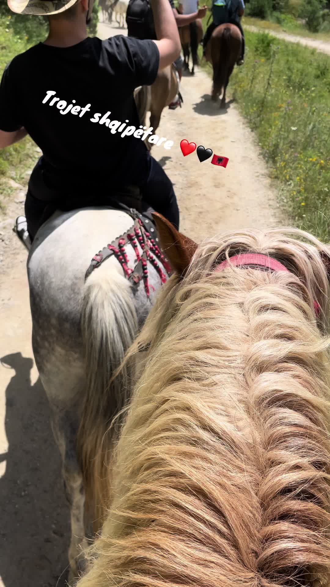 @Gigi