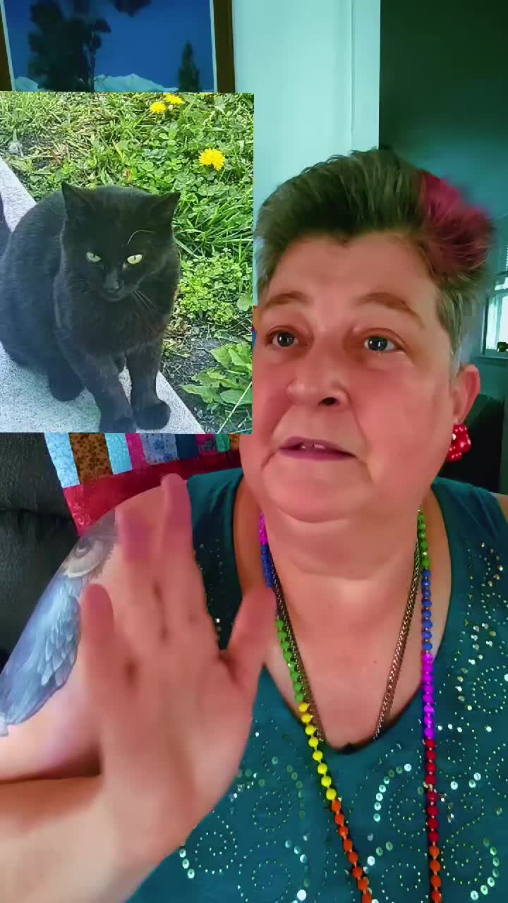 @north_omaha_cat_lady