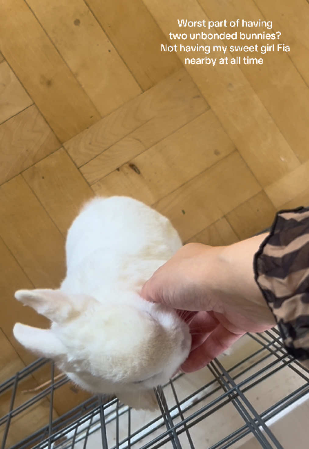 @Renée Rah