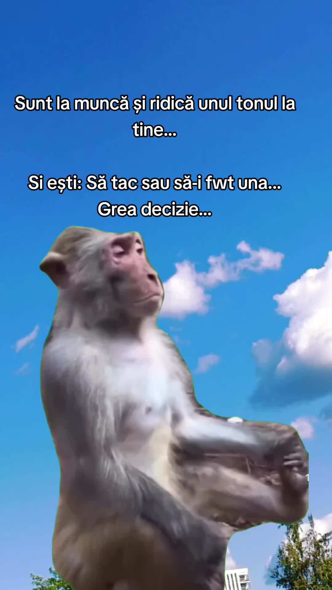 @Daniel 🤍