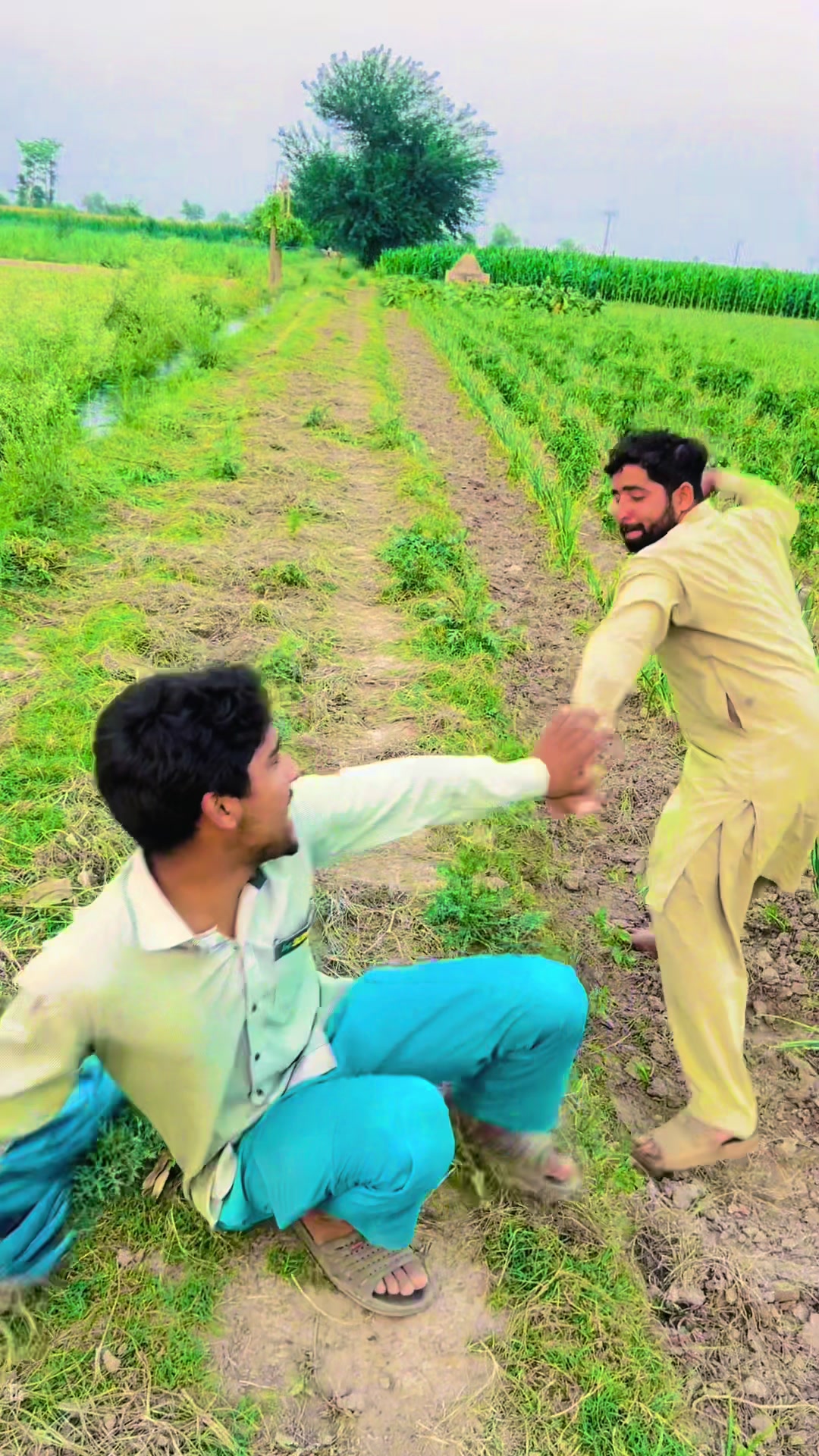 @پینڈو بوائز 378