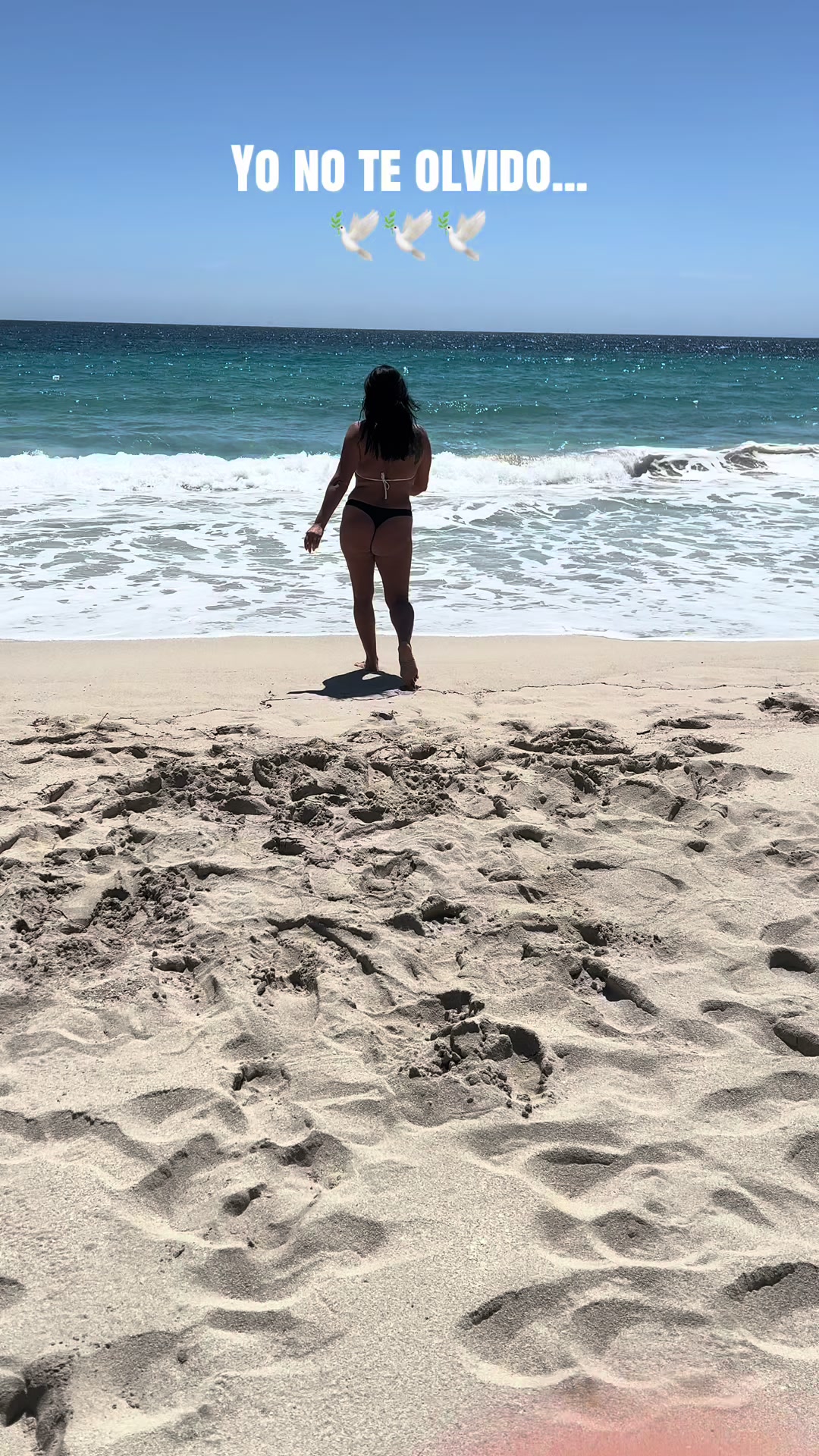 @olgal2505