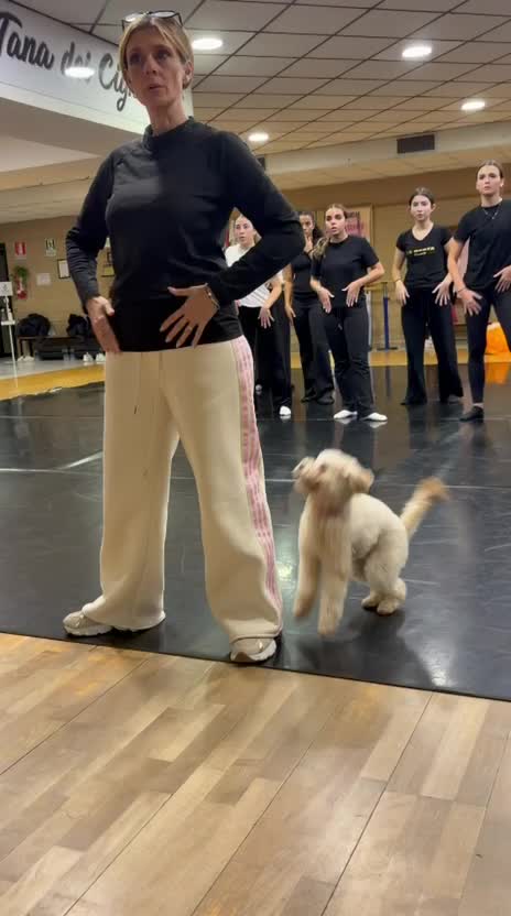 @ladanza.info