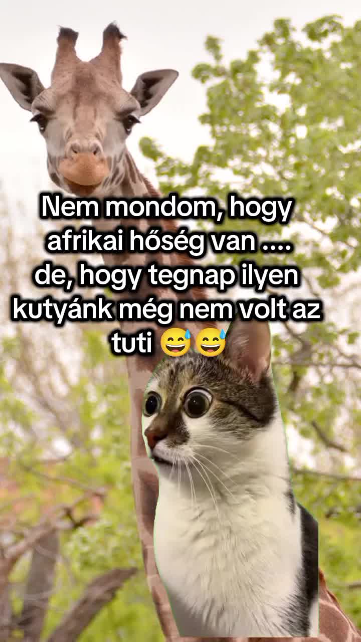 @🌸🌿 Eszter 🌿🌸