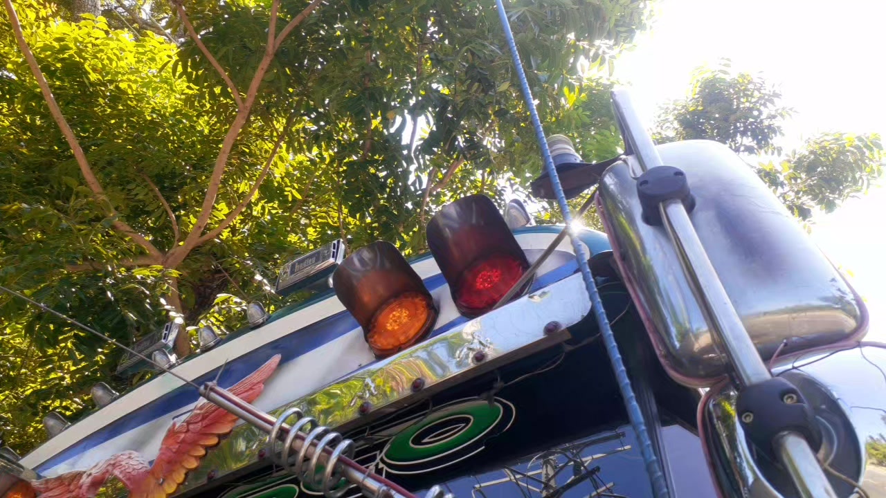 @buses elegantes 503