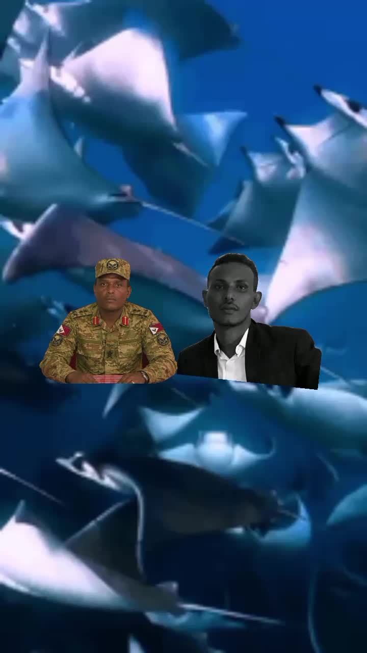 @Idris Abdu mola