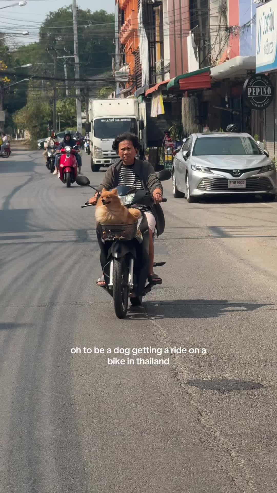 @Tia | thatgirlwhotravels