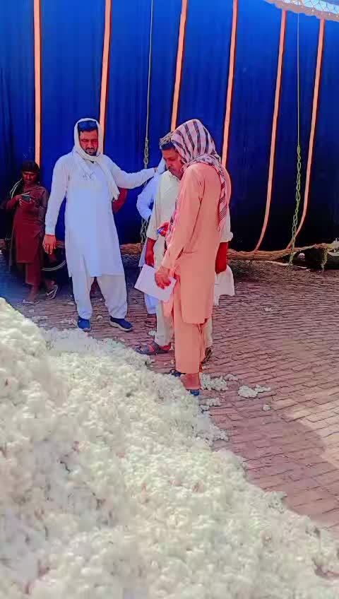@💚Jamshed Magsi51214