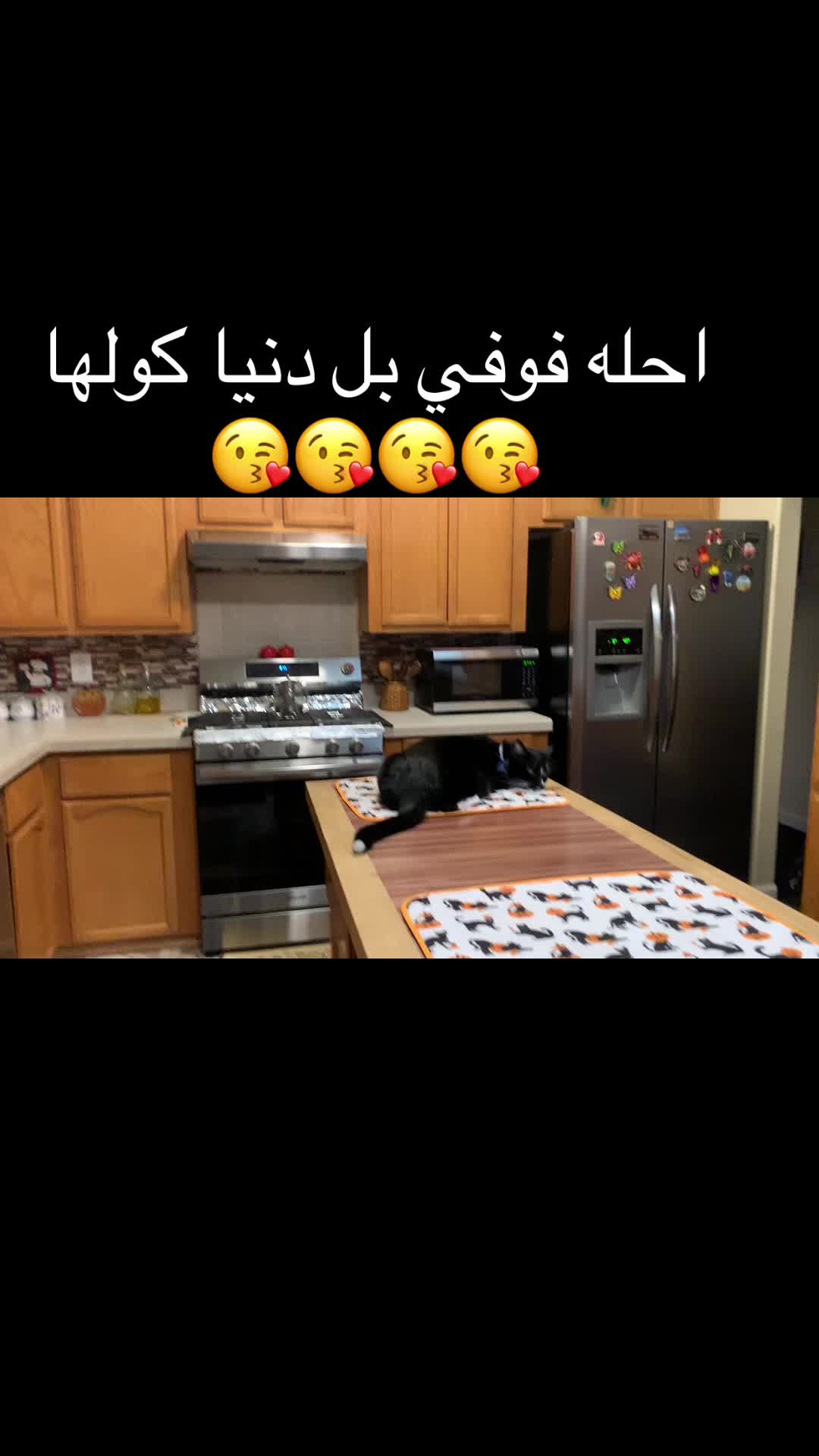 @umjotyar