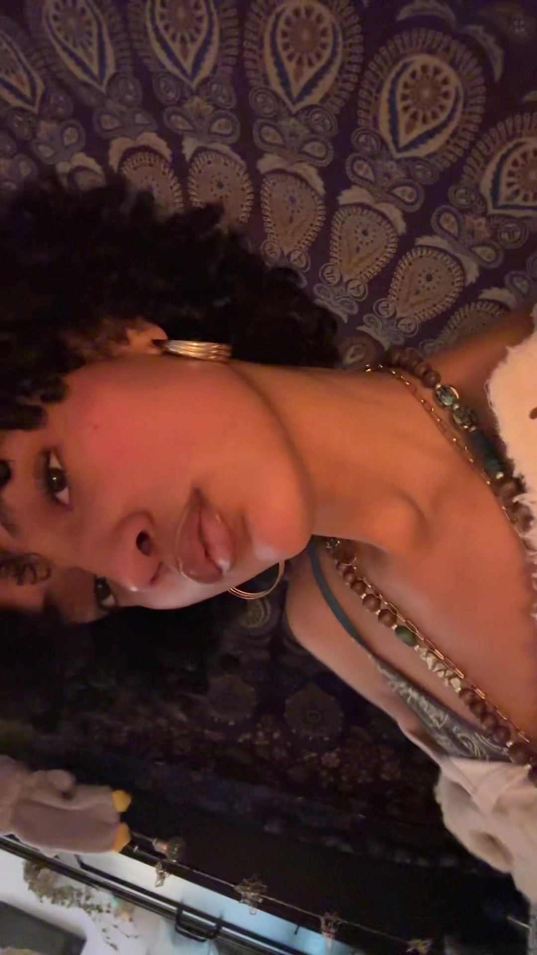 @Renosaurusrex🦖