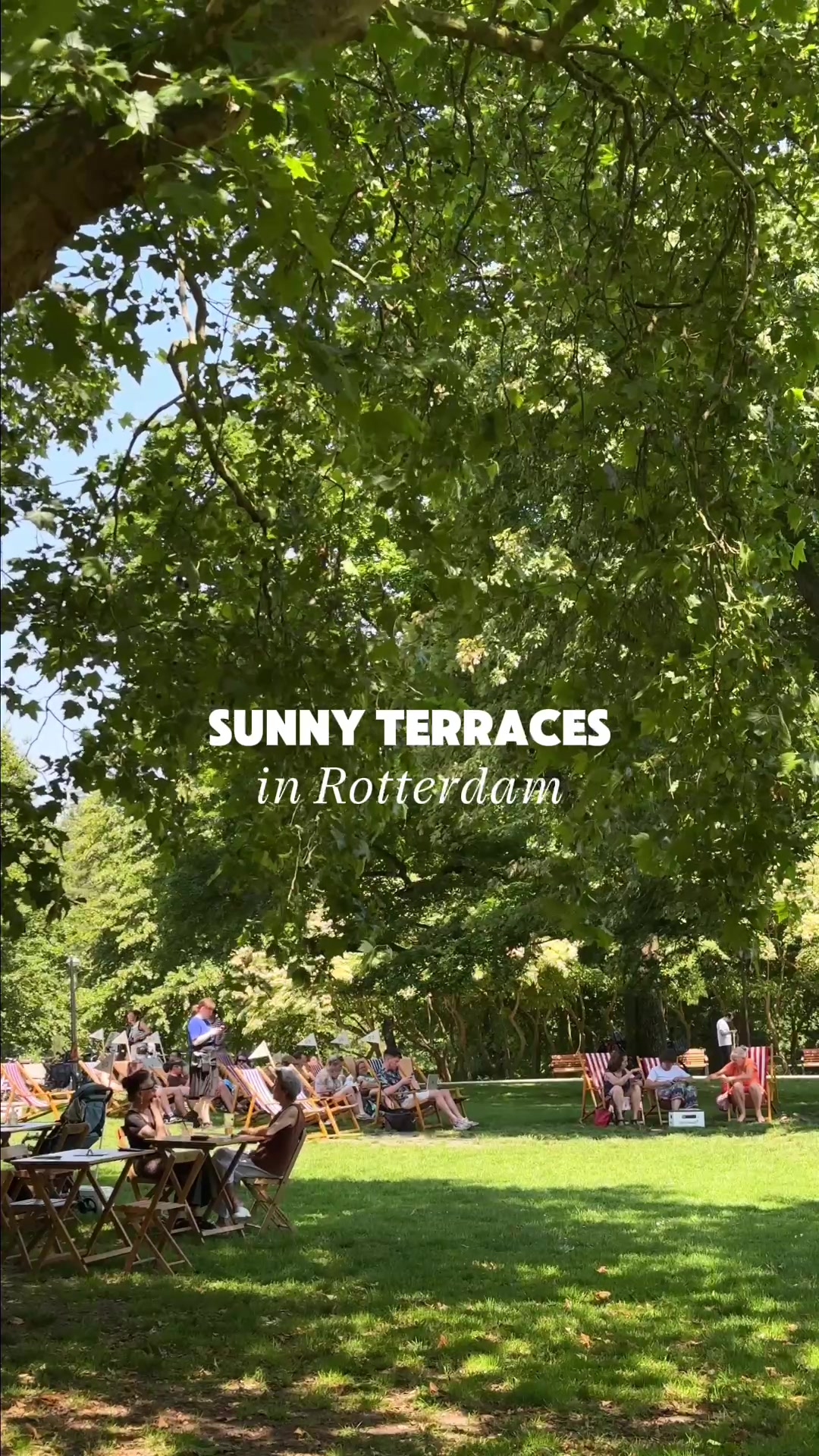 @Rotterdam Info 💚