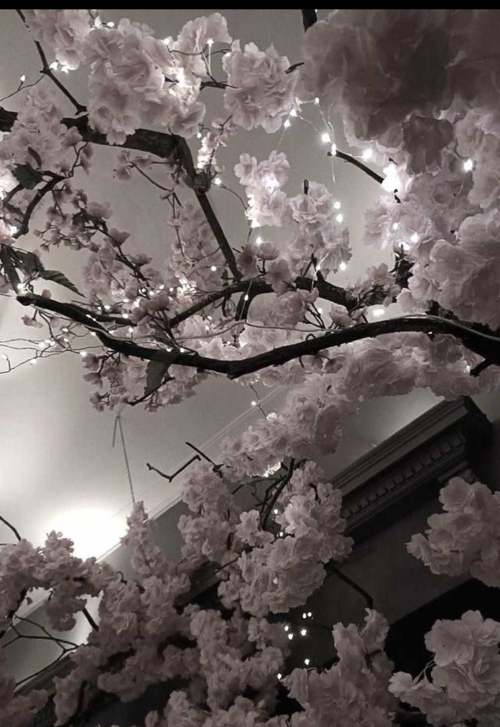 @𝑏𝑙𝑎𝑐𝑘𝑏𝑣𝑟𝑟𝑦