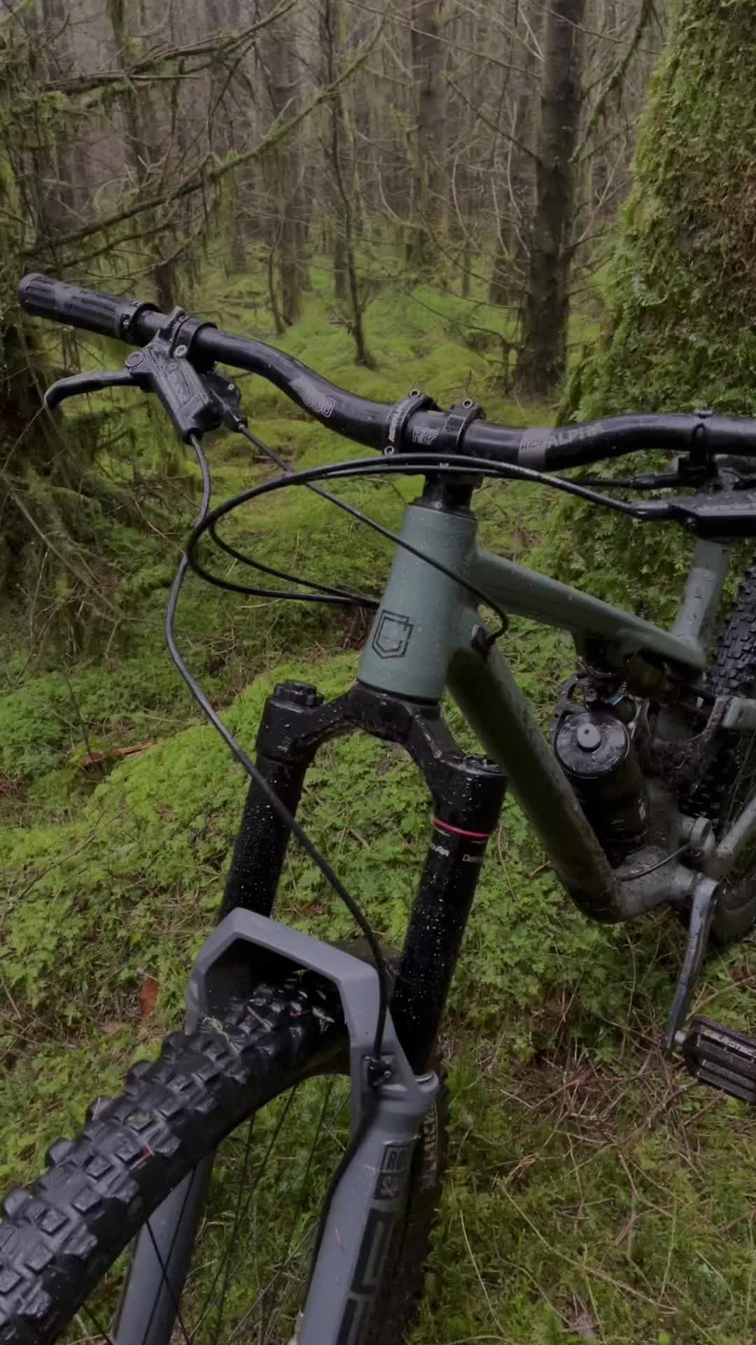 @tobyy🌲