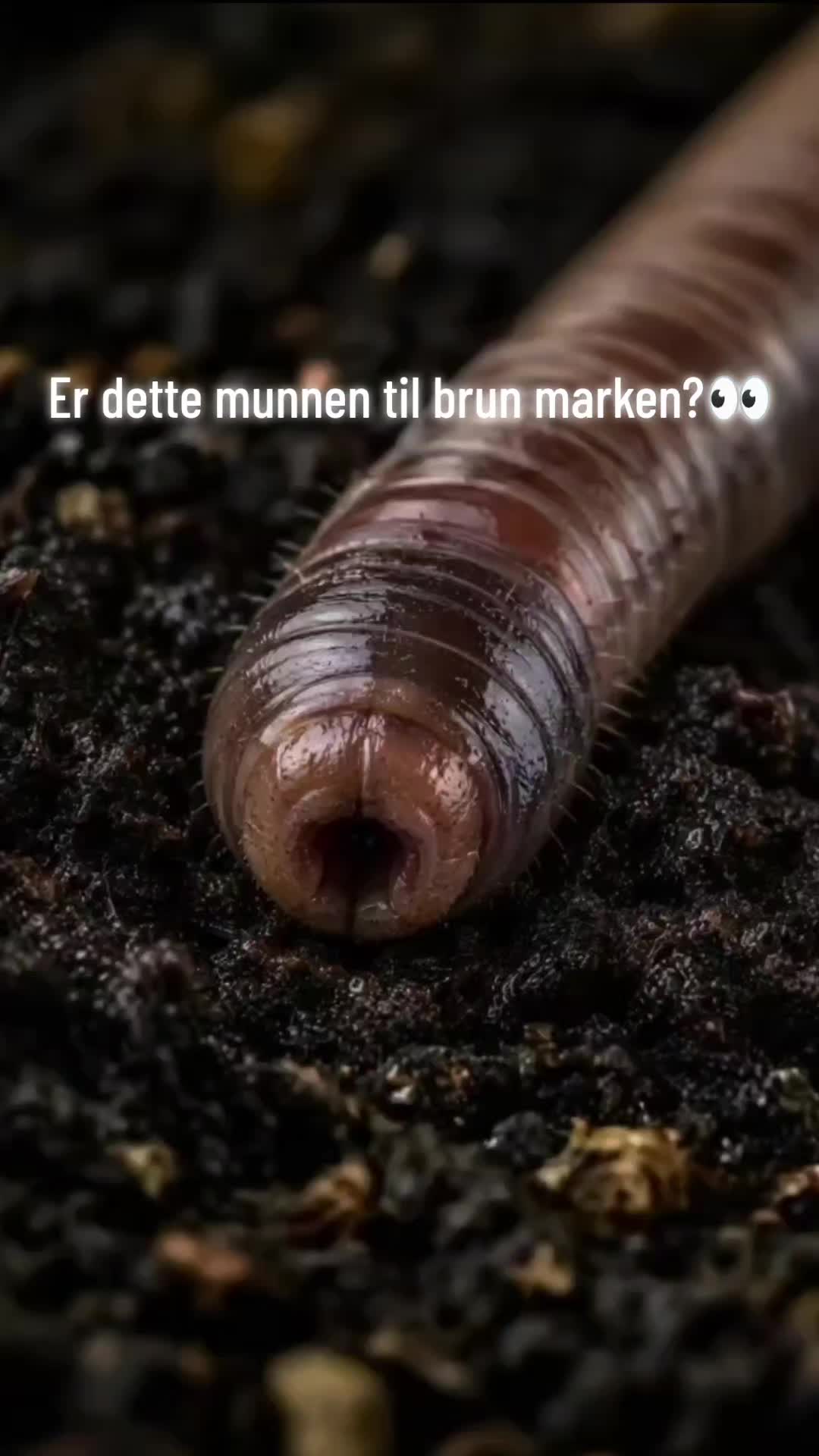 @Tronen