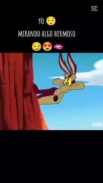@Araceli