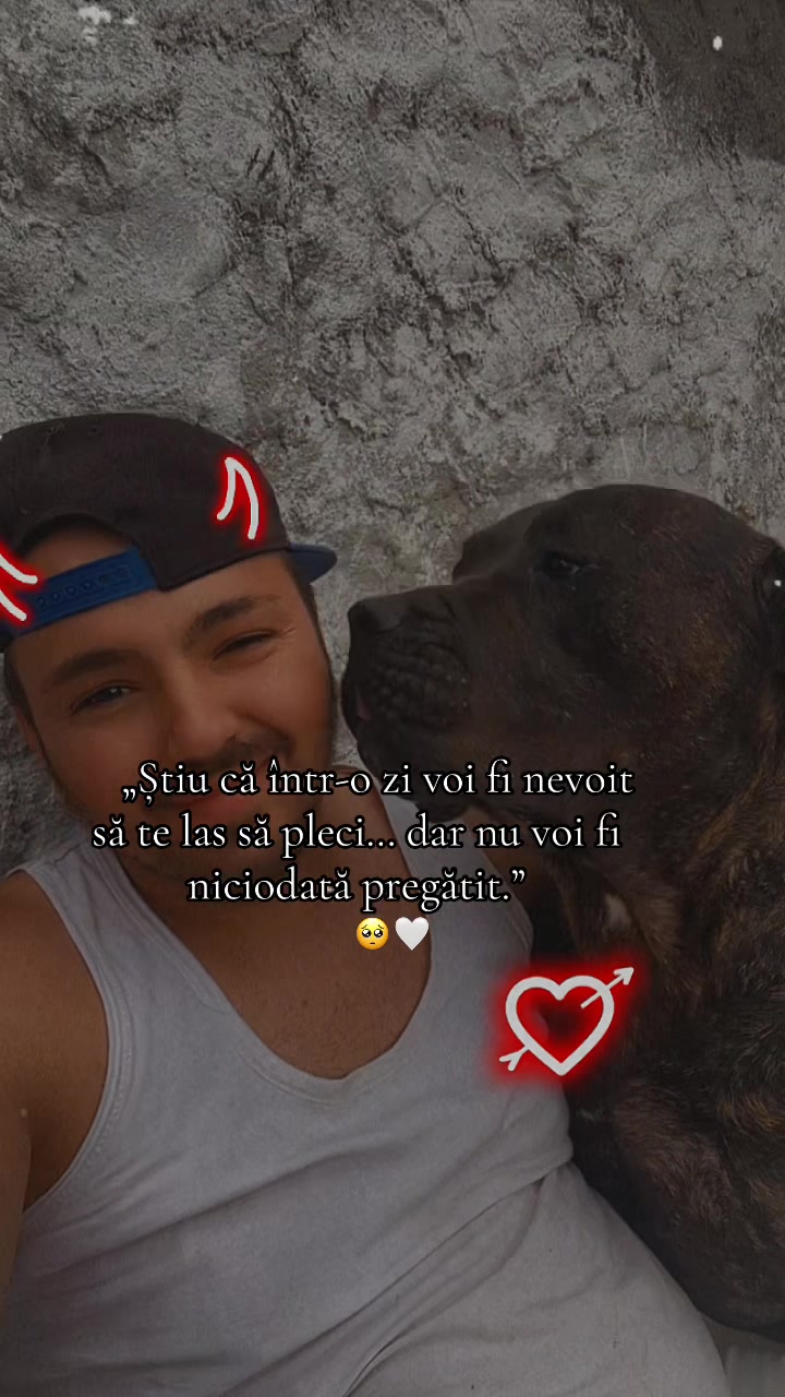@renaldo