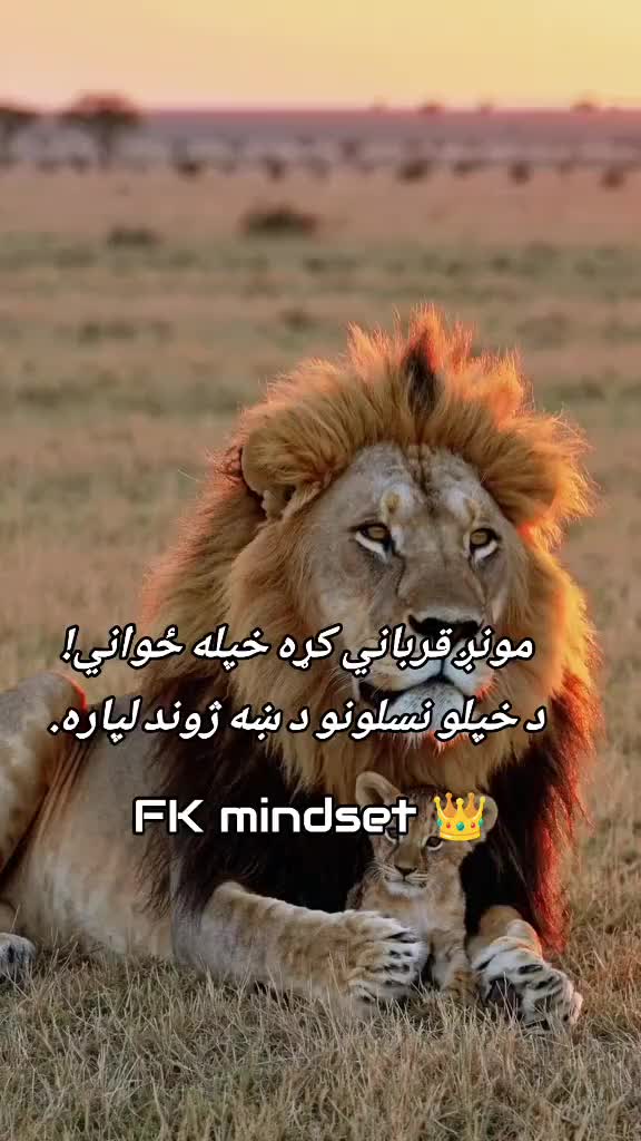 @FK 👑