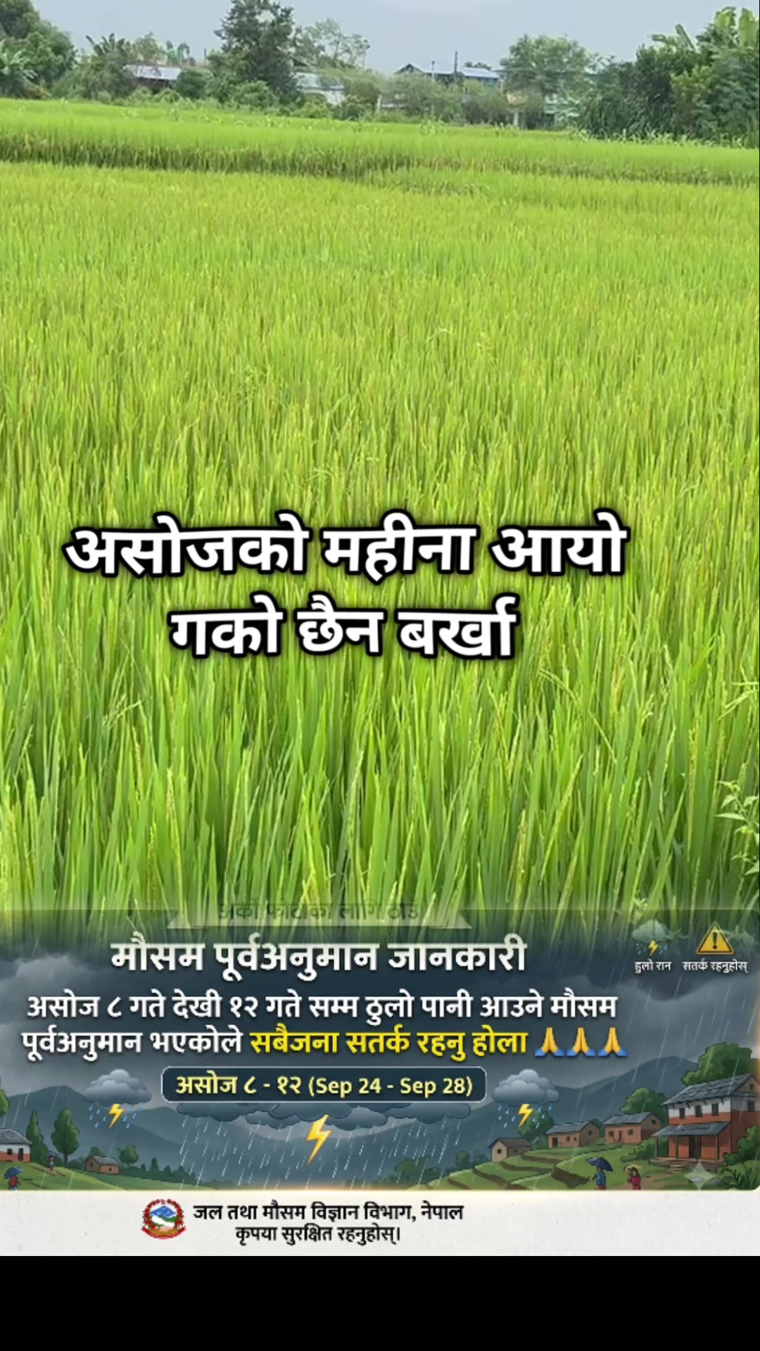 @Manju Subedi🫰🏻