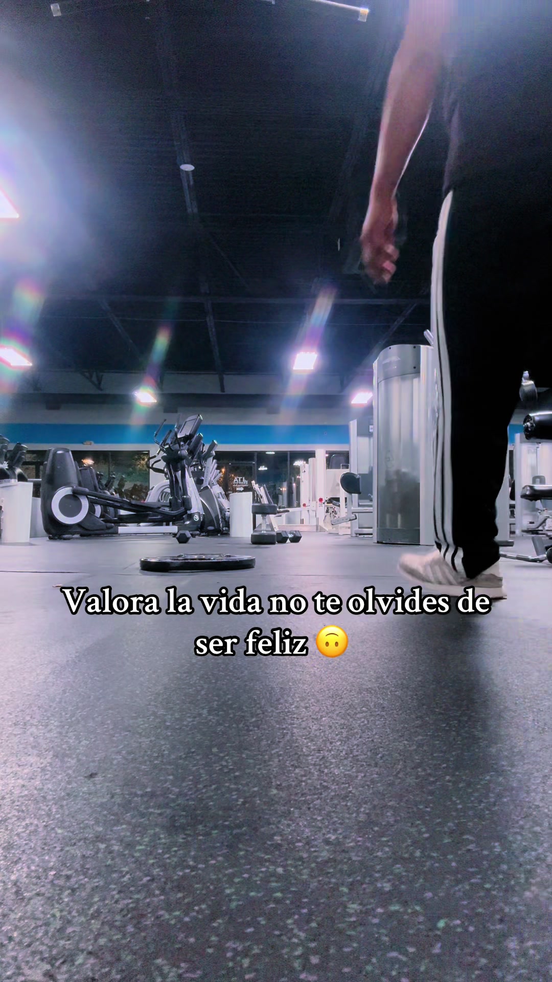 @678sanches