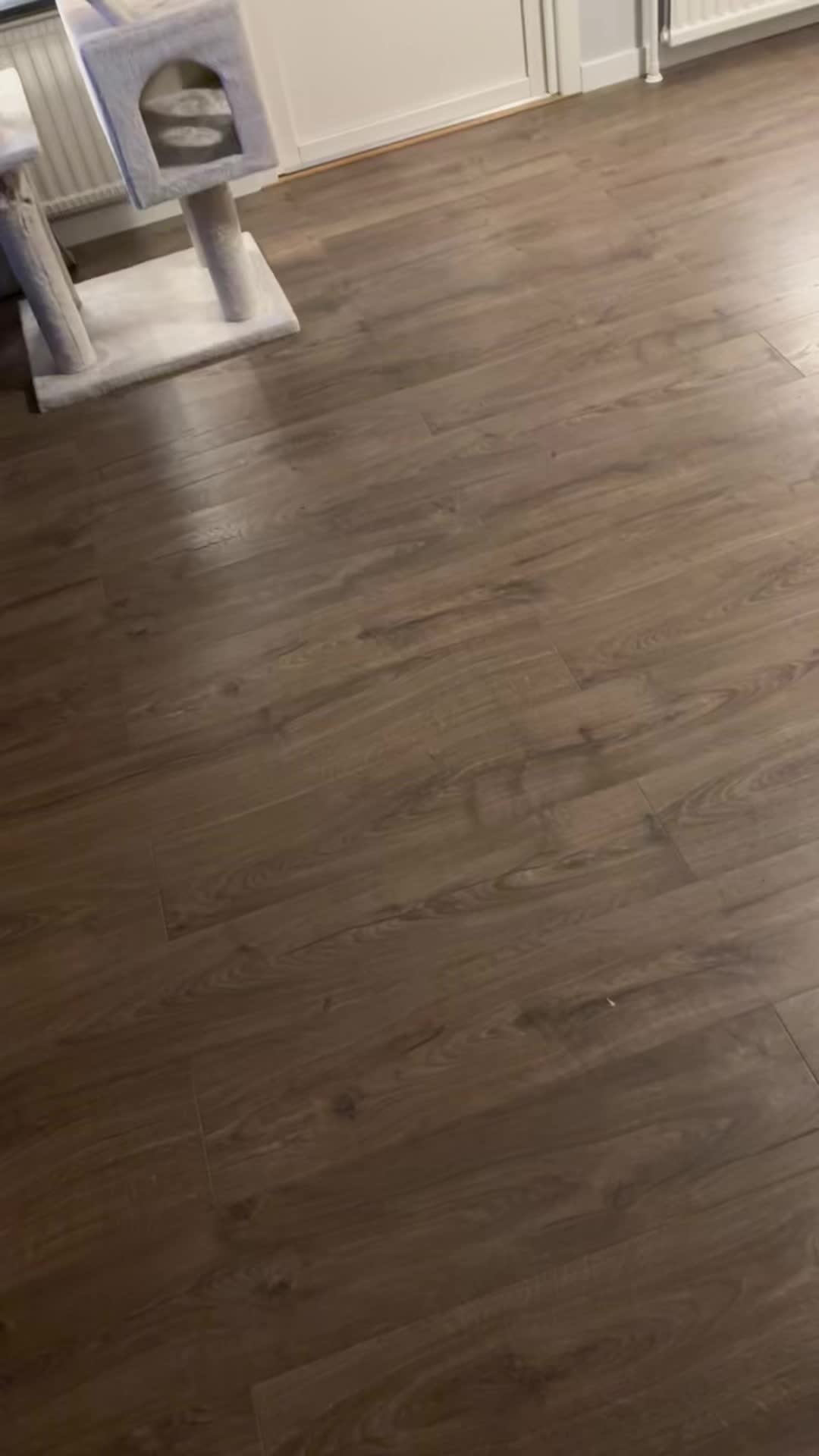 @ronnyolga