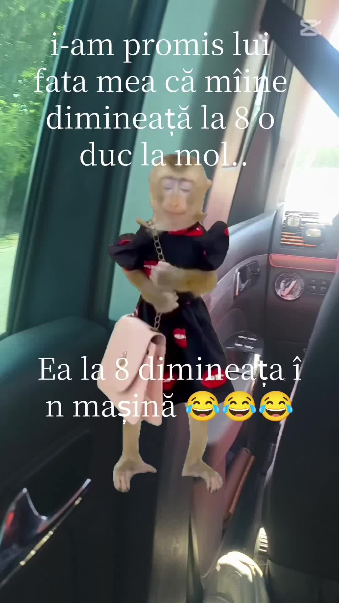 @munteanulaura08