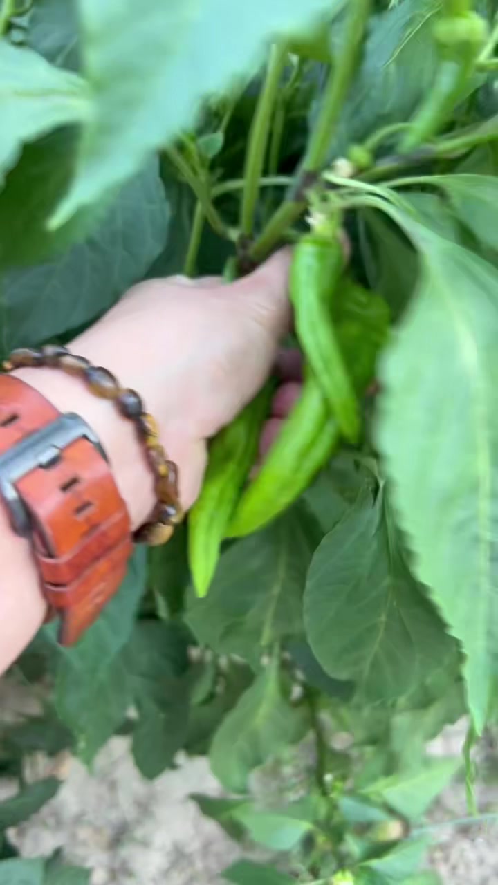 @Оксана🌶️