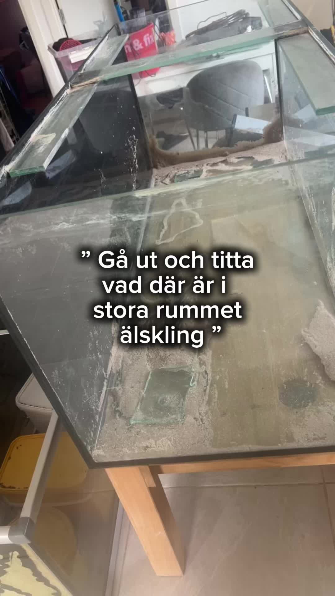 @MiaGillgren