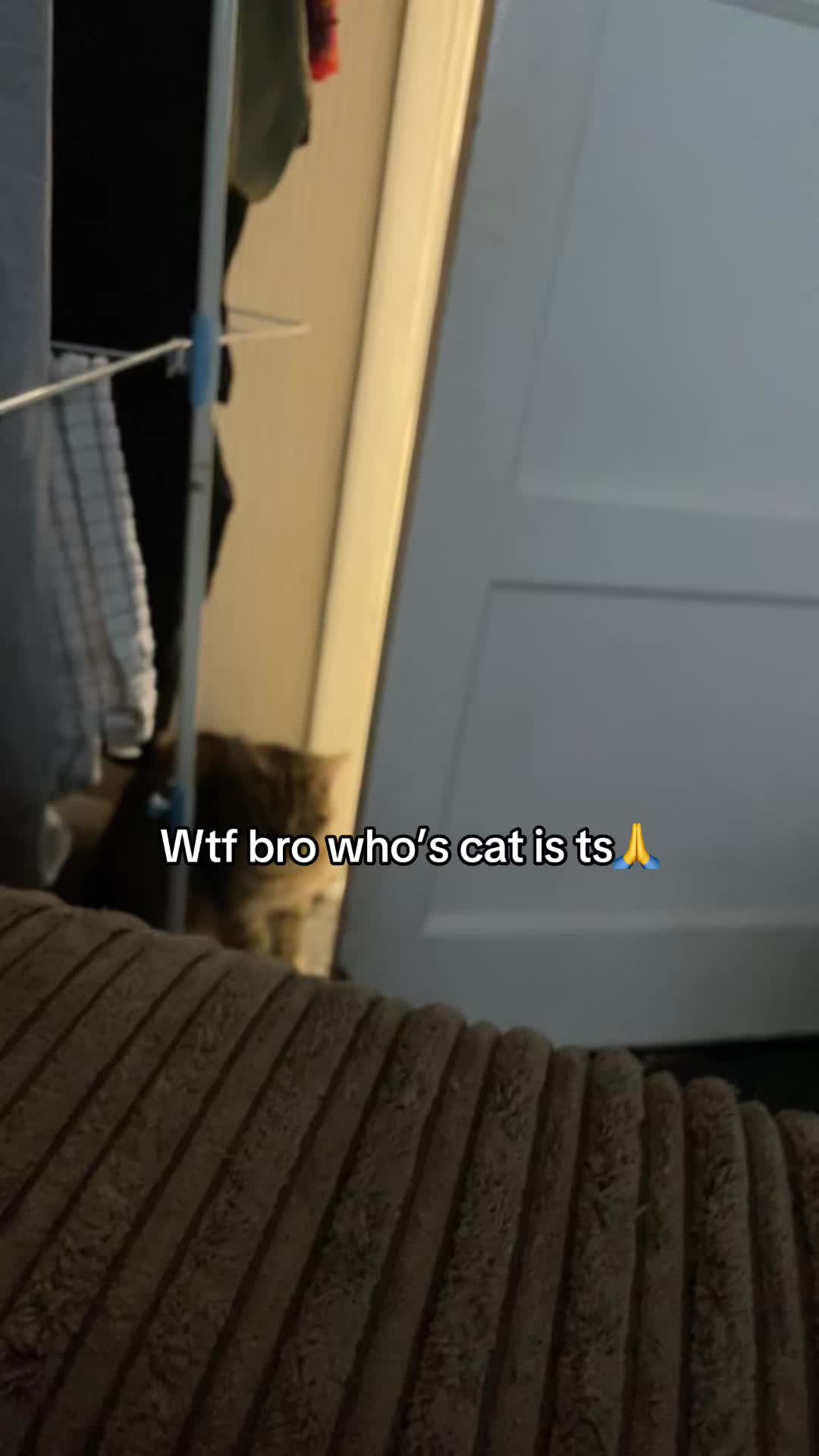 @iamsiriuslycool
