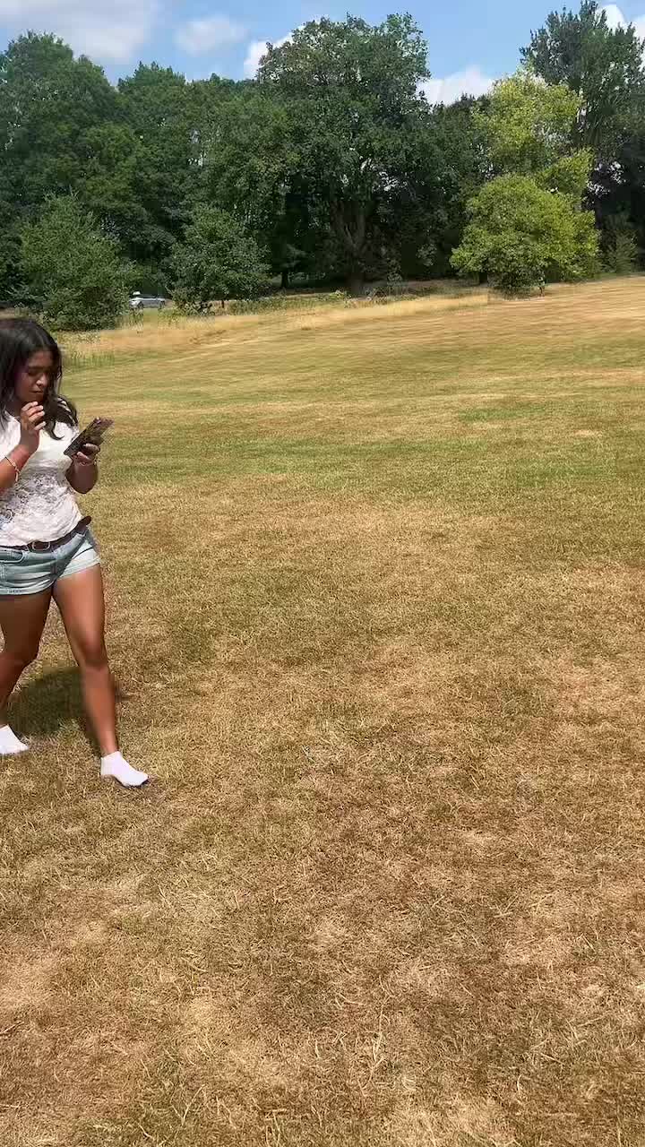 @➳✇⧗ z ⧗✇➳