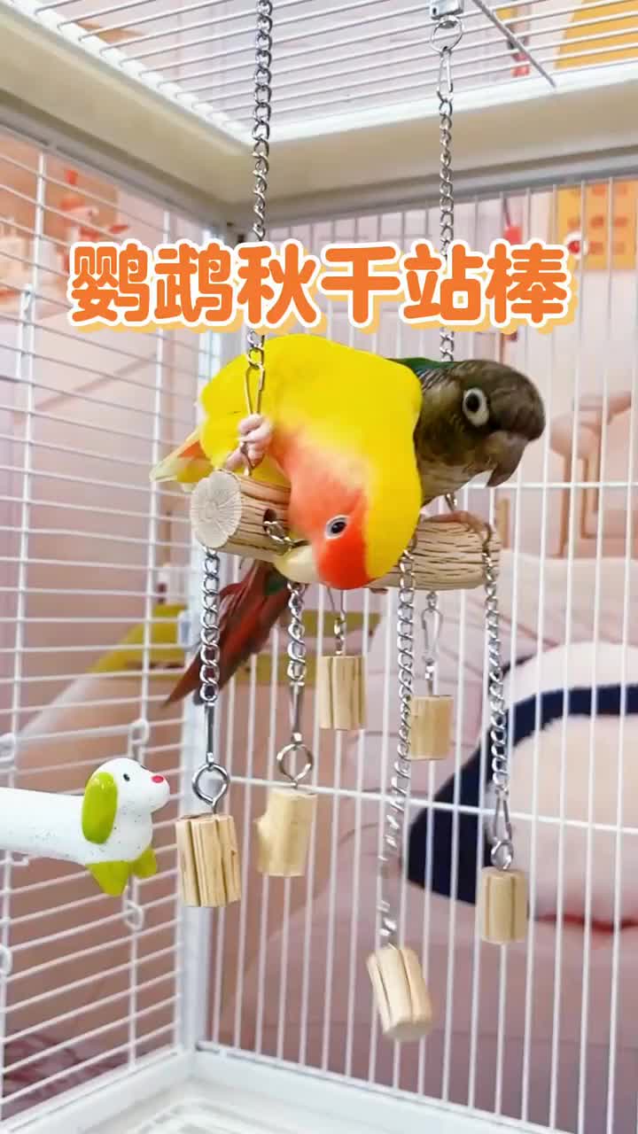 @chinabirds47