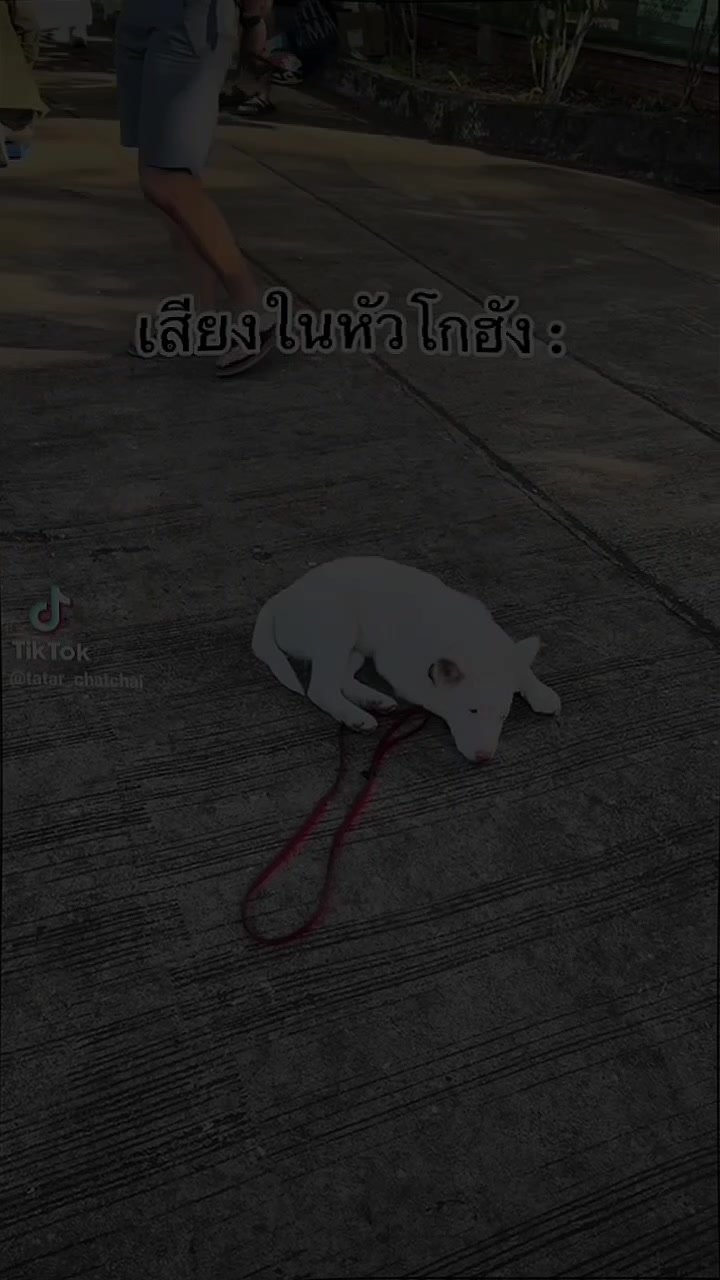 @🌷FC.พี่ตาต้า_38.7K🍃