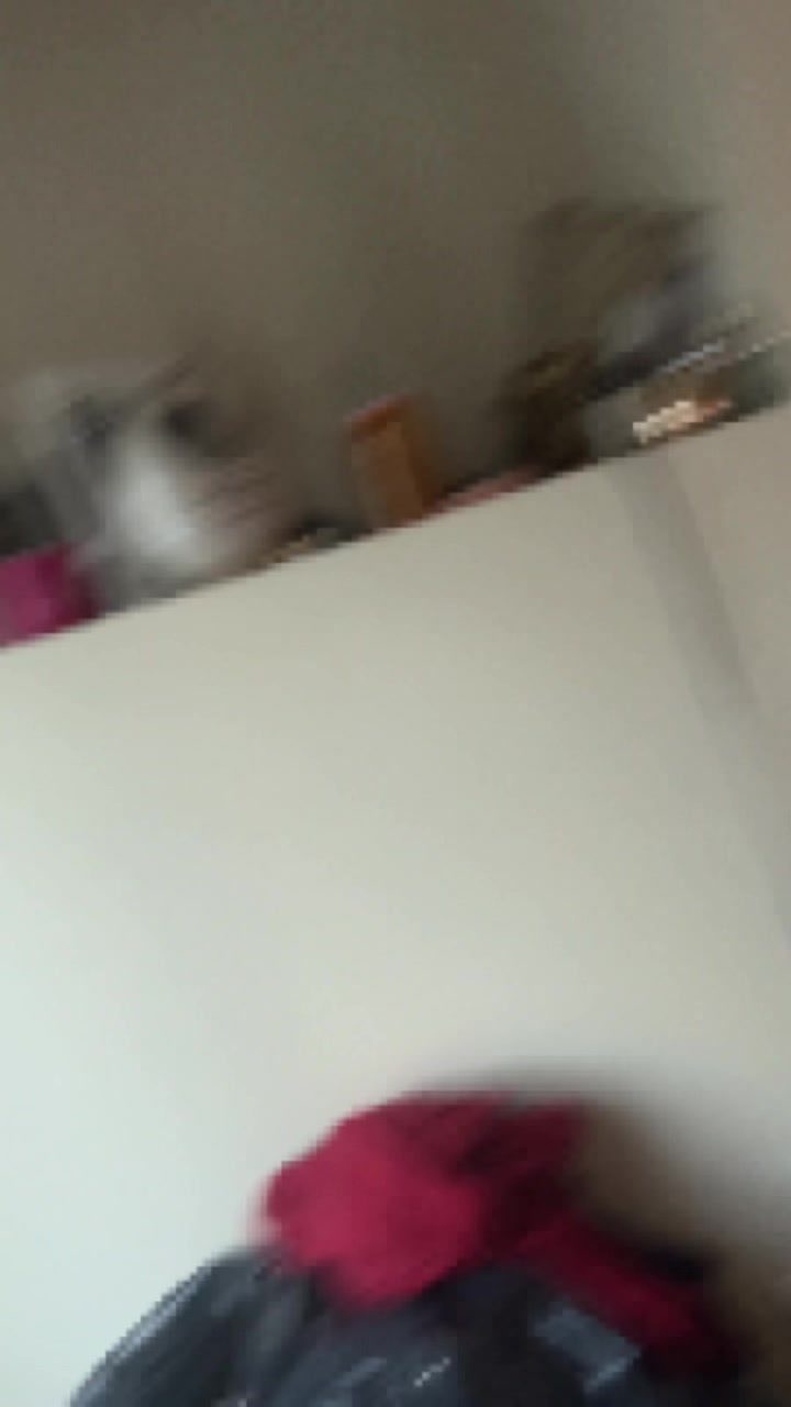 @crystaline_gamersfan