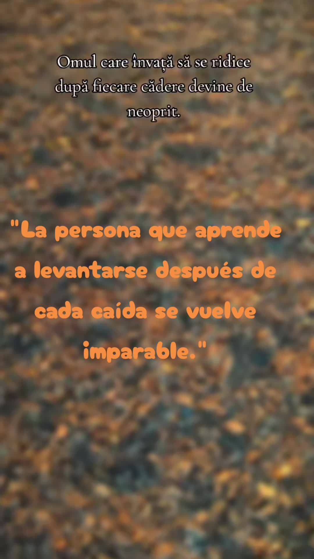 @Brenda 11:11✨🙏🏼💜