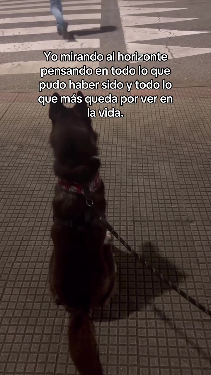@𝕽𝖆𝖖𝖚𝖊𝖑 🐺