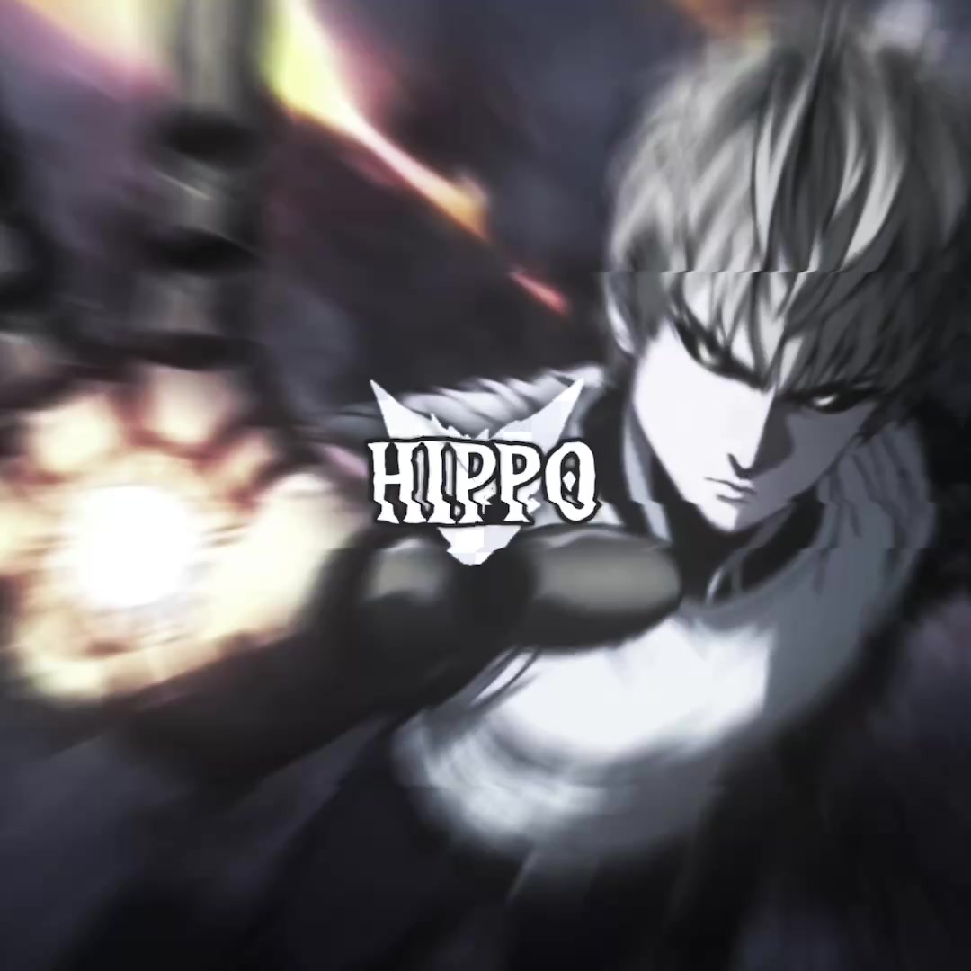 @hippo