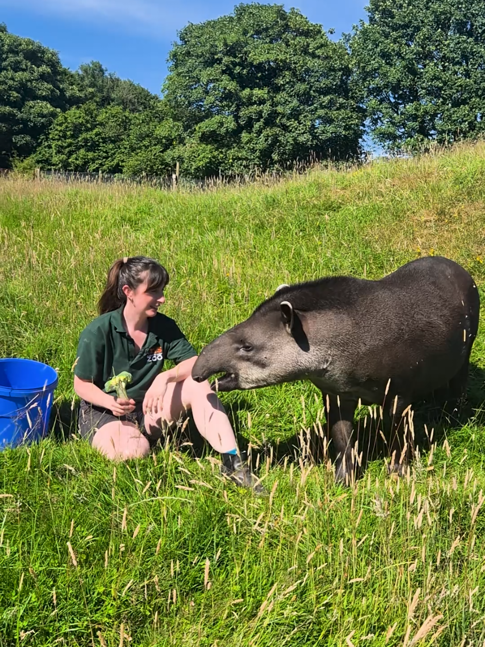 @Dartmoor Zoological Society