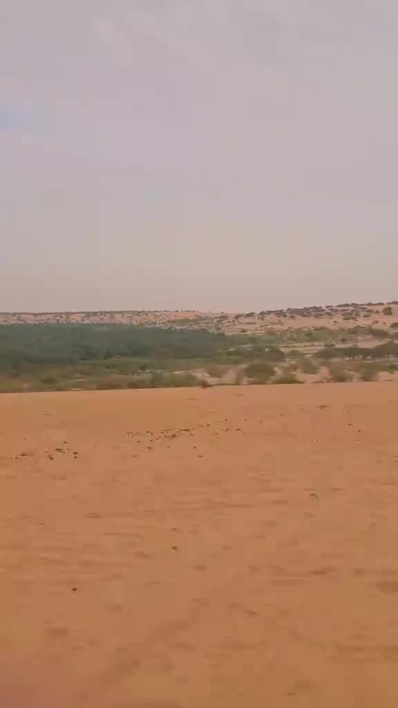 @Voix du Konoum