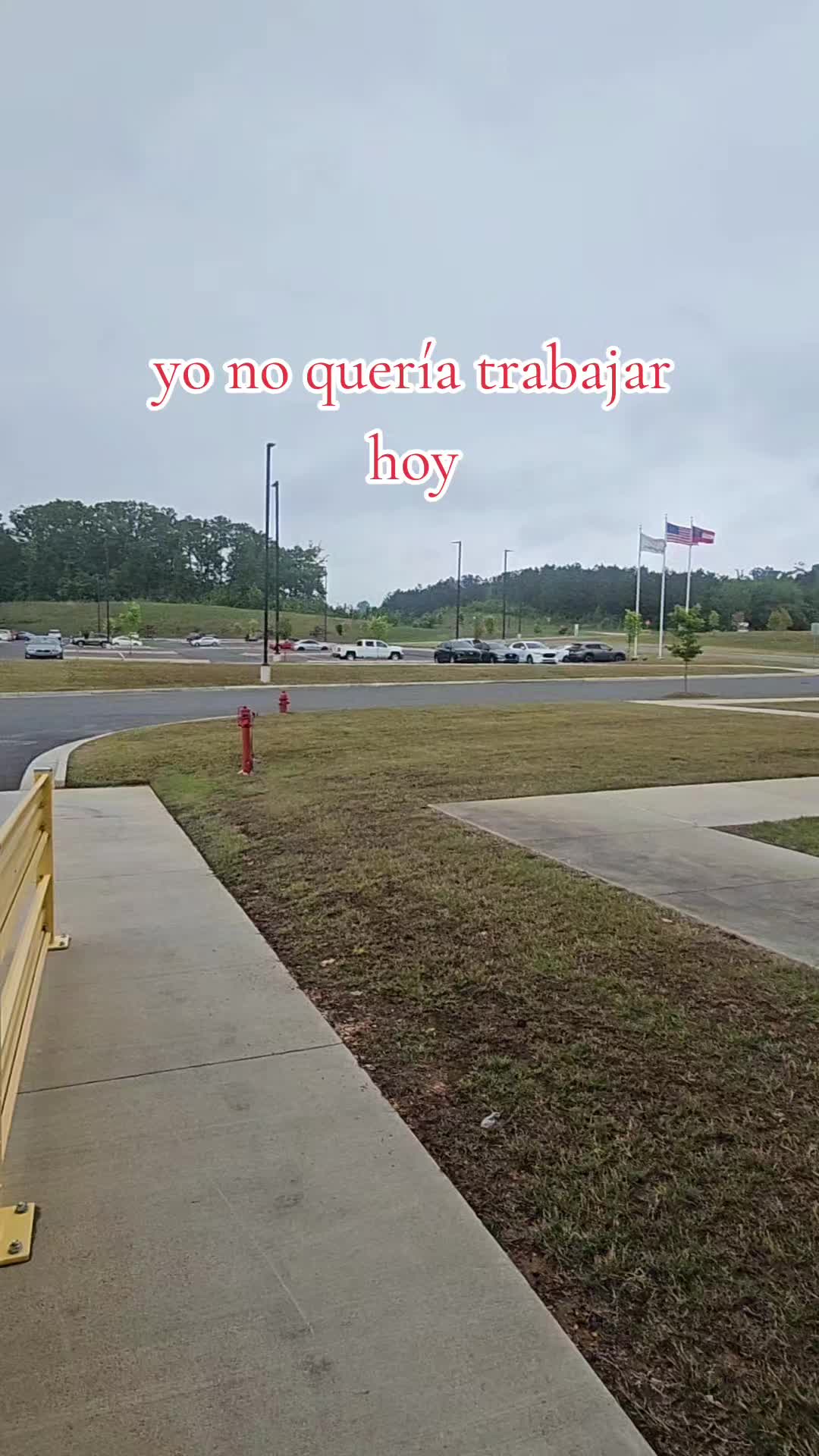 @luisjuarez691