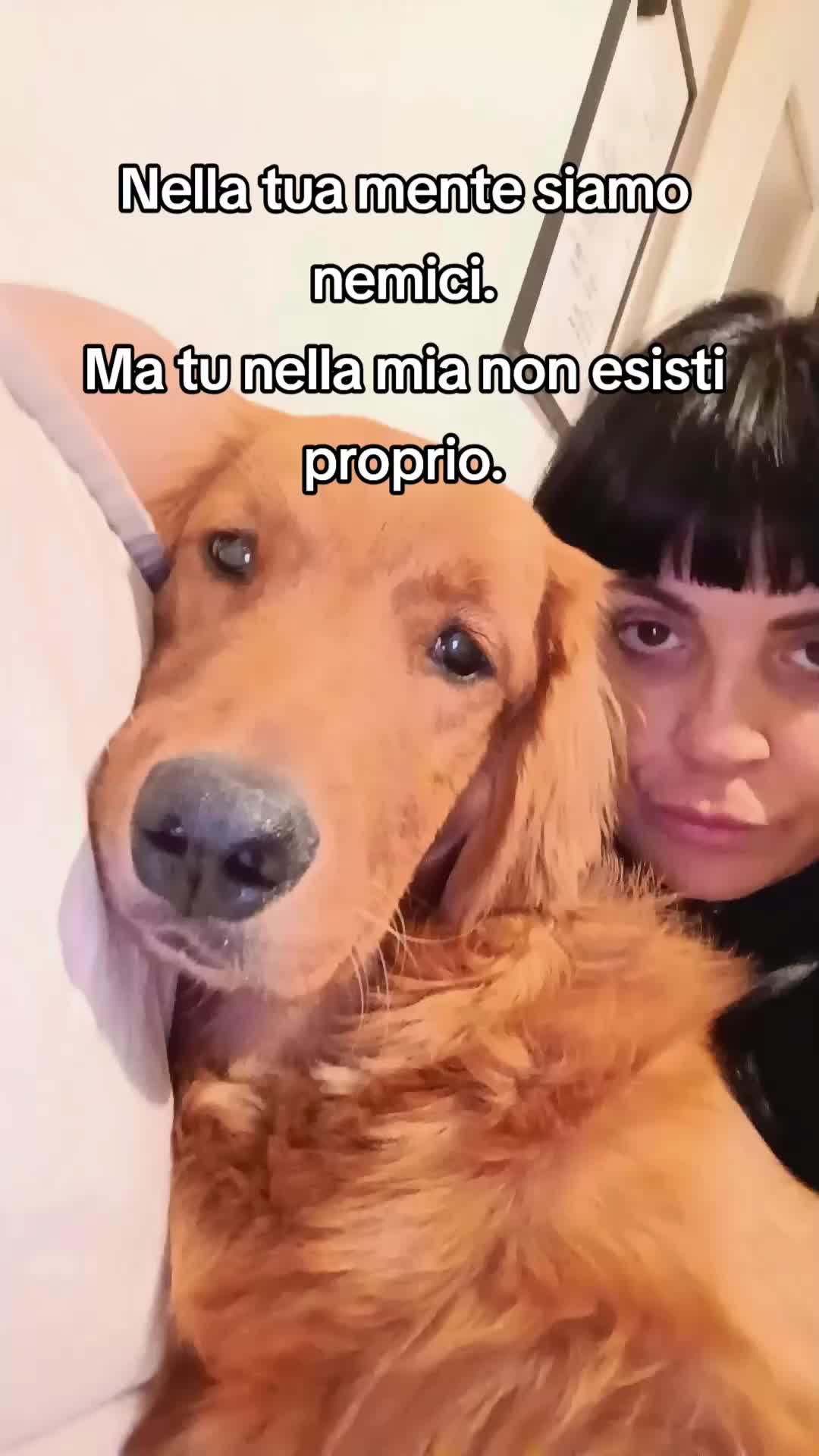 @Roberta Cucco