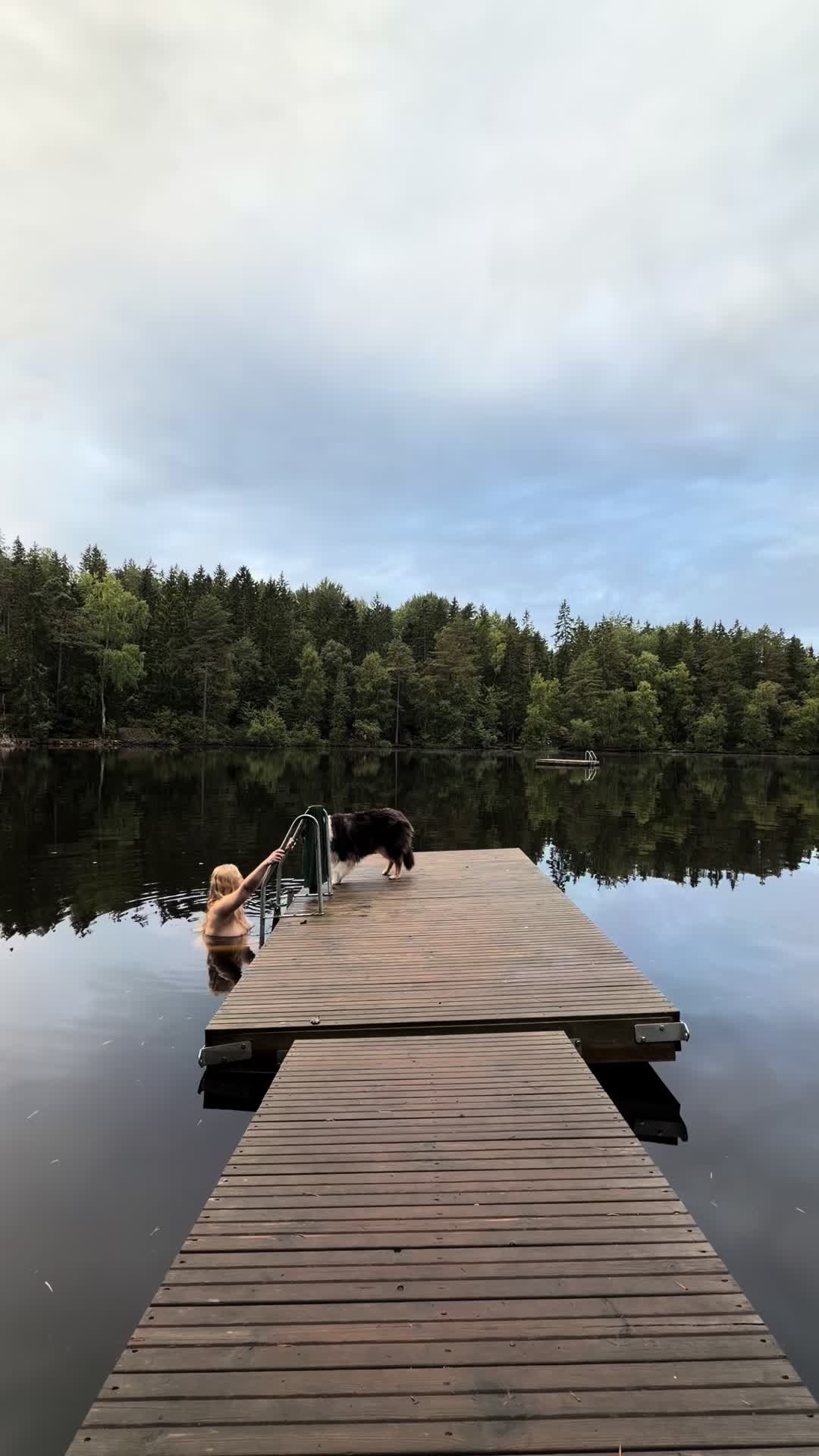 @swedishforestgirl