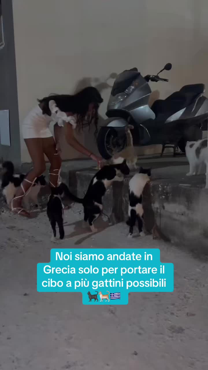 @Benedetta.biegi