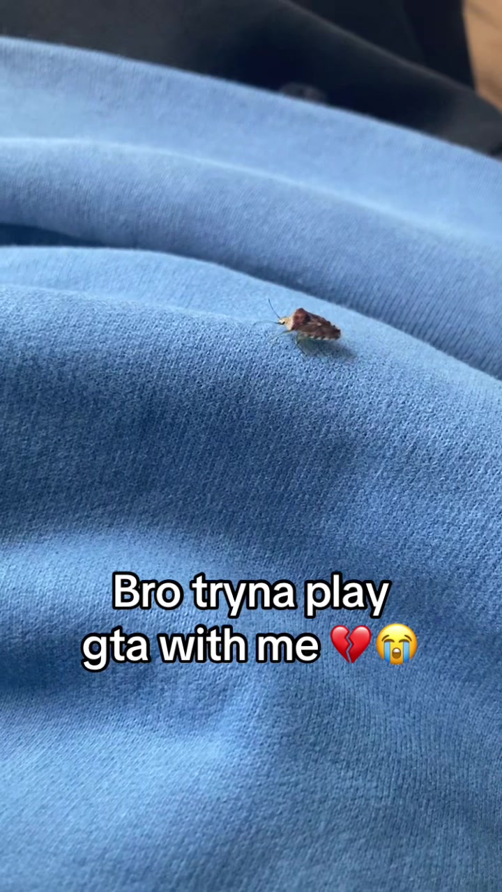 @peterusestech