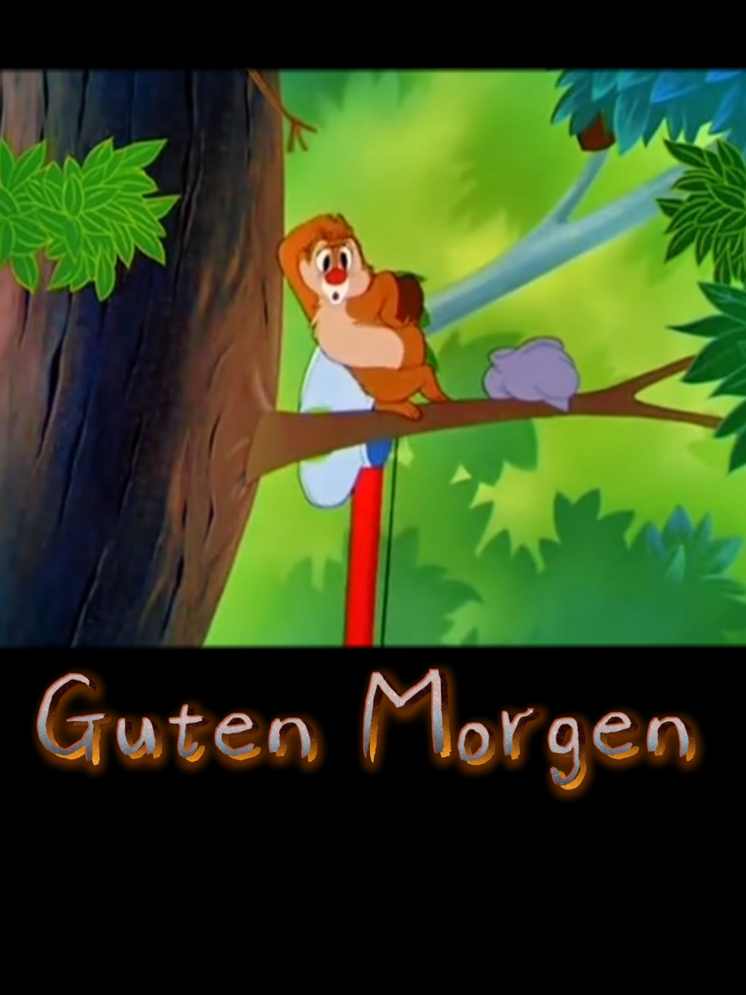 @zahnzaubermaeuschen